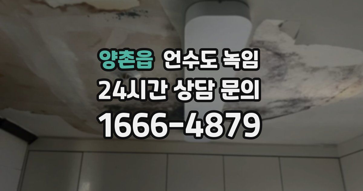 양촌읍 언수도 녹임