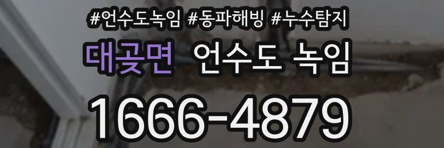 대곶면 언수도 녹임