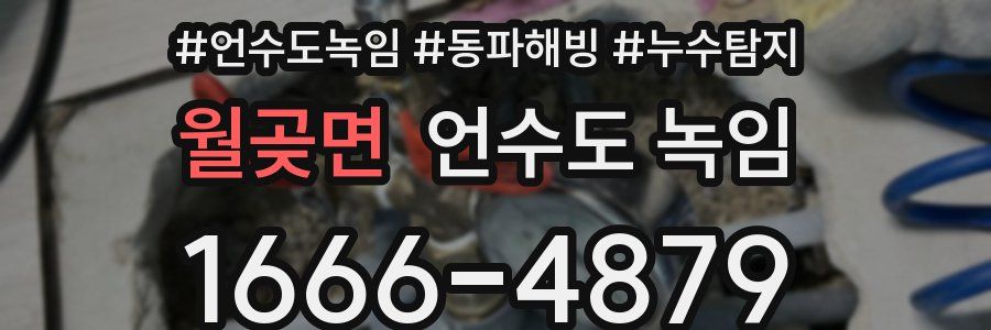 월곶면 언수도 녹임