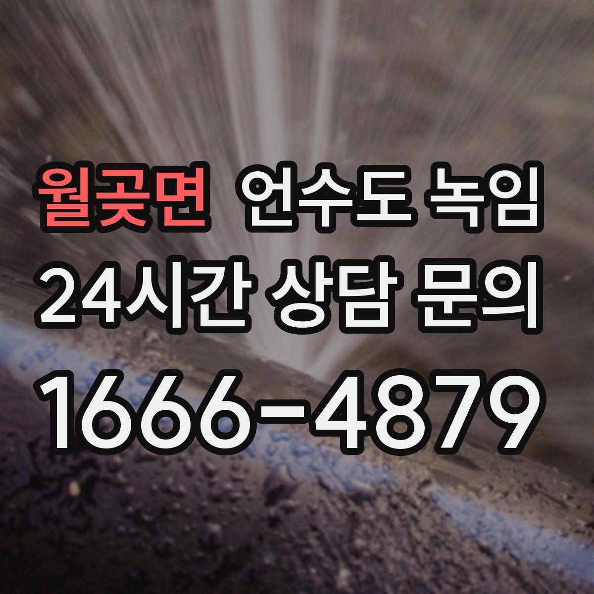 월곶면 언수도 녹임