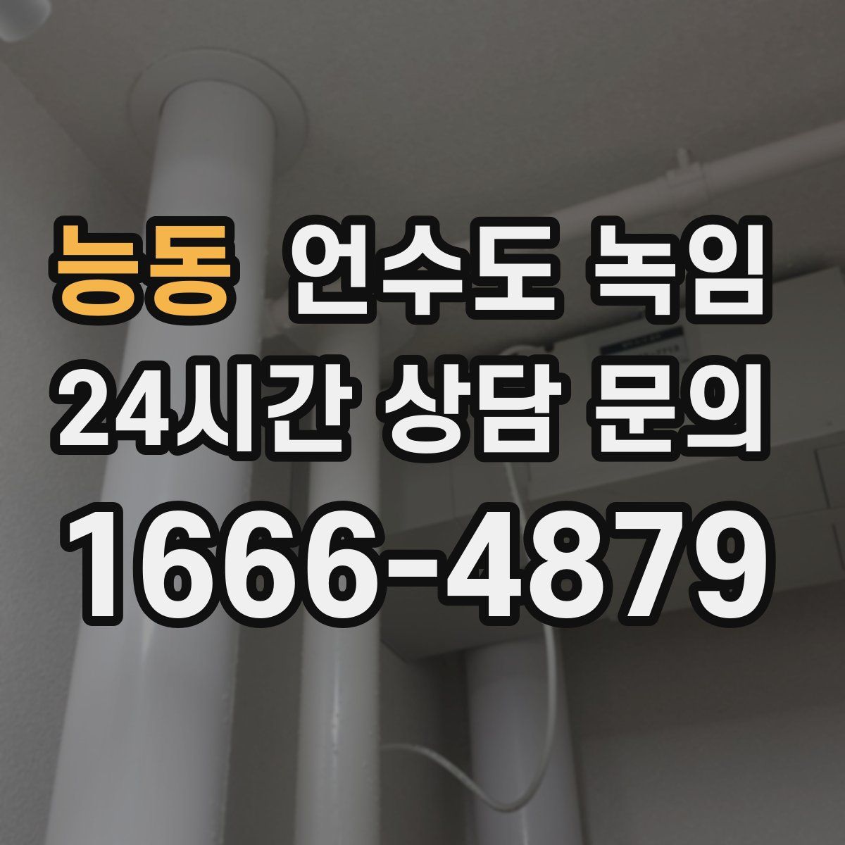 능동 언수도 녹임
