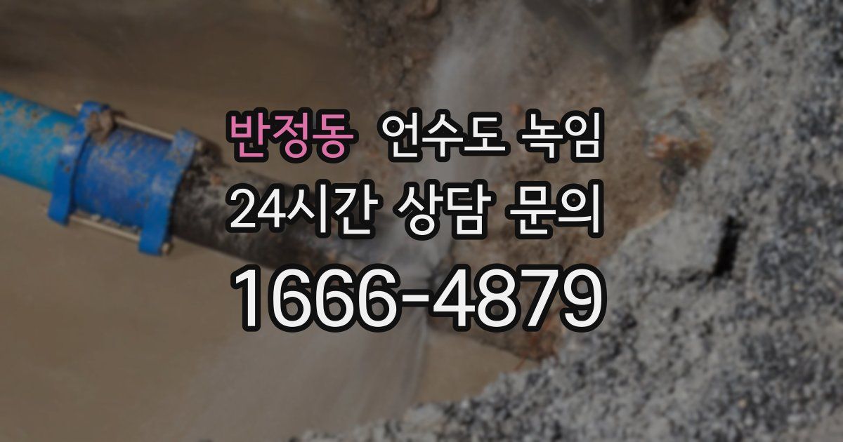 반정동 언수도 녹임