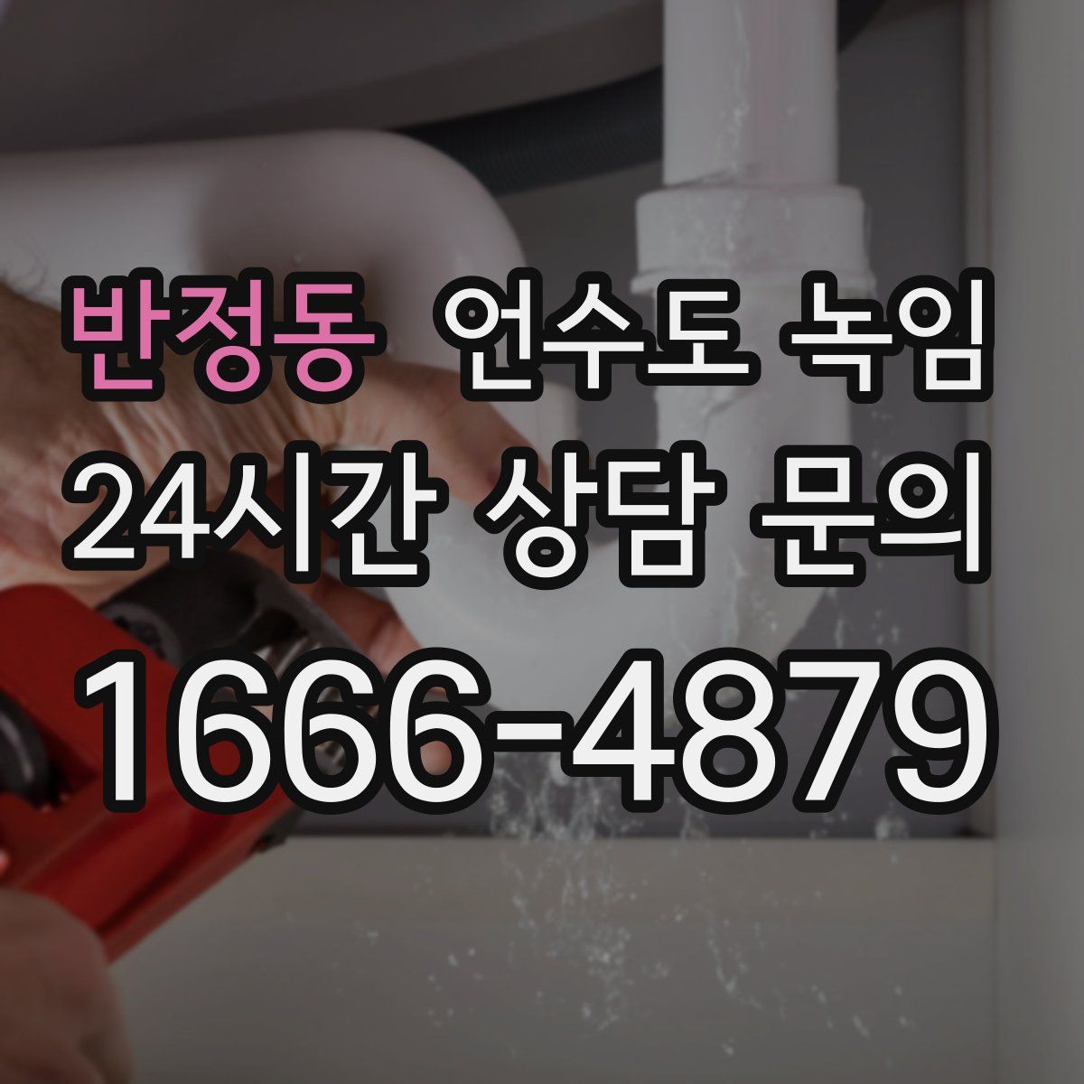 반정동 언수도 녹임