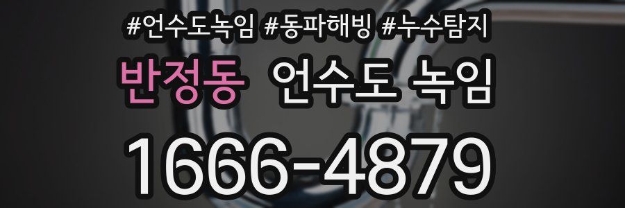 반정동 언수도 녹임