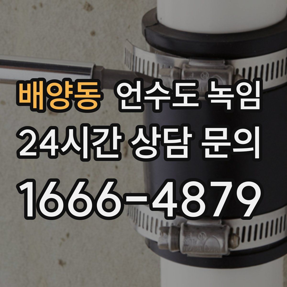 배양동 언수도 녹임