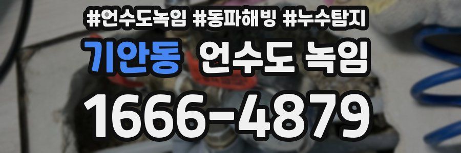 기안동 언수도 녹임