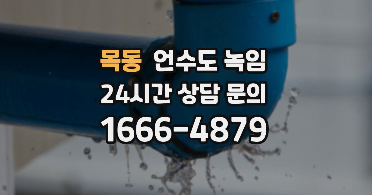 목동 언수도 녹임