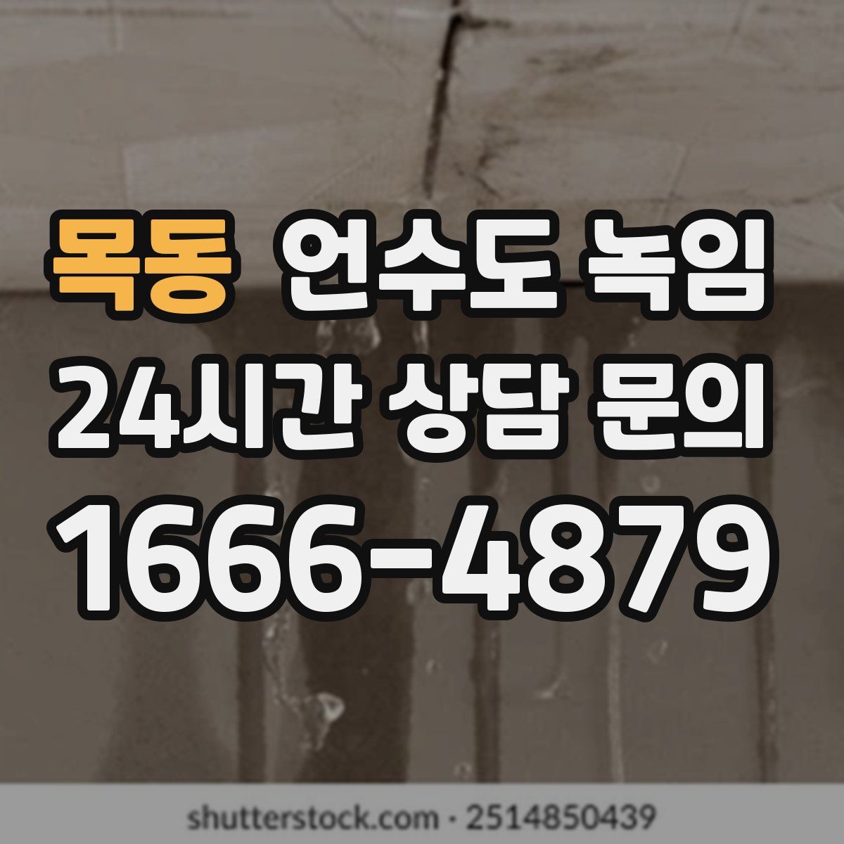 목동 언수도 녹임