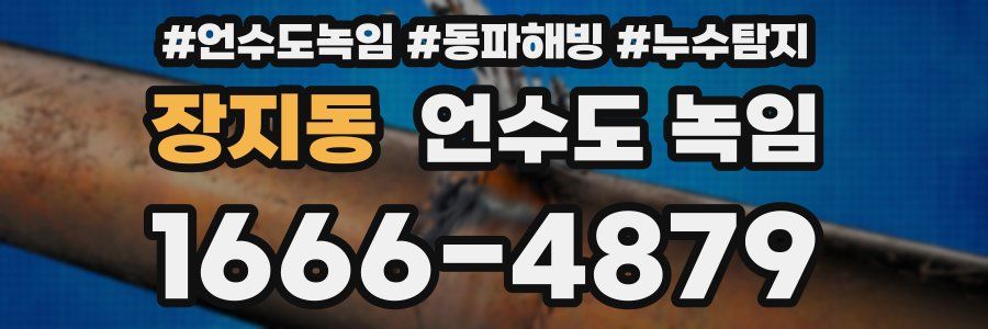 장지동 언수도 녹임