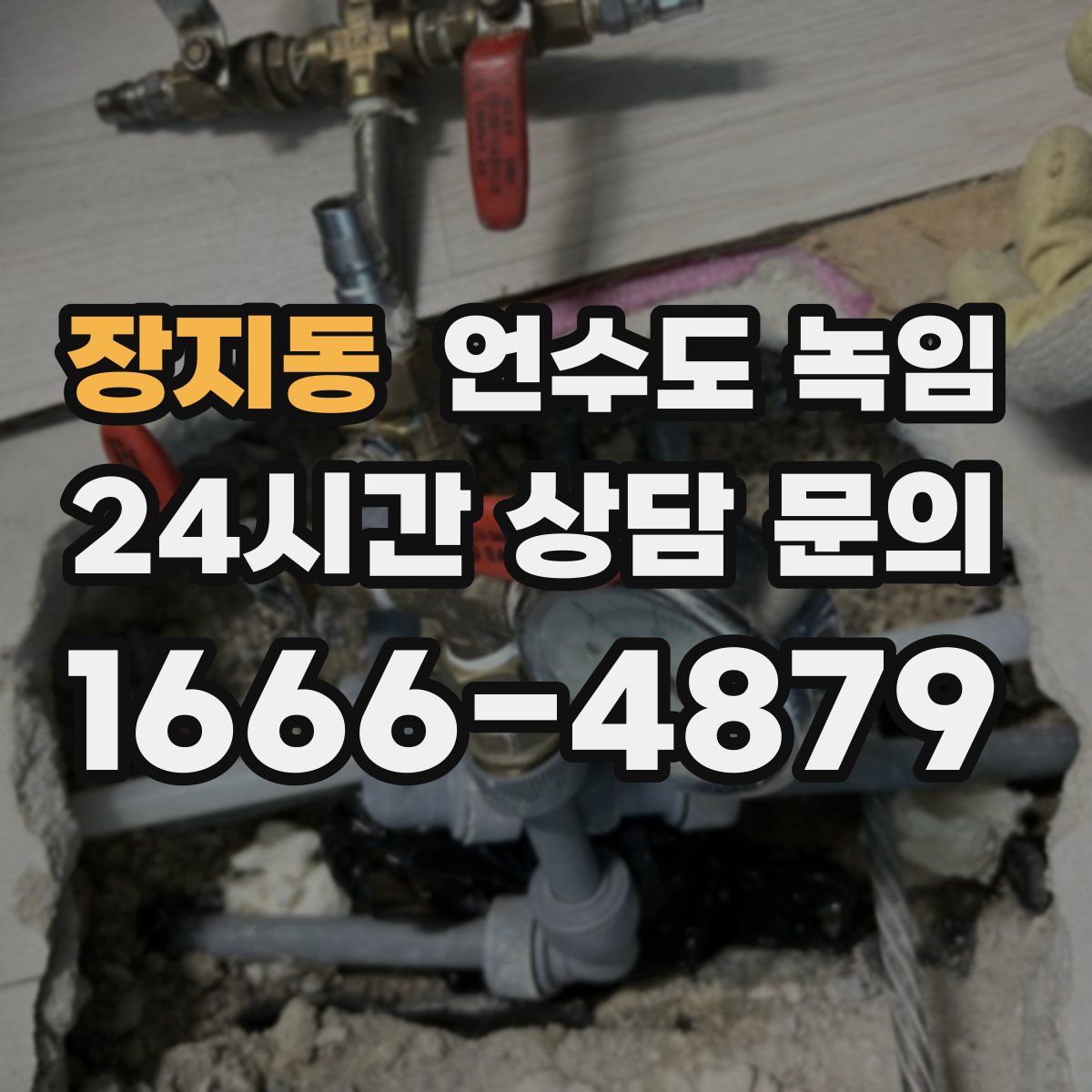 장지동 언수도 녹임