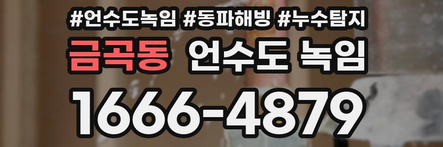 금곡동 언수도 녹임