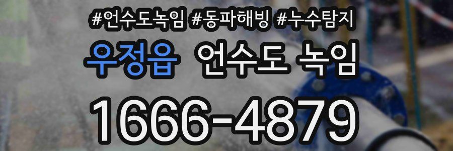 우정읍 언수도 녹임