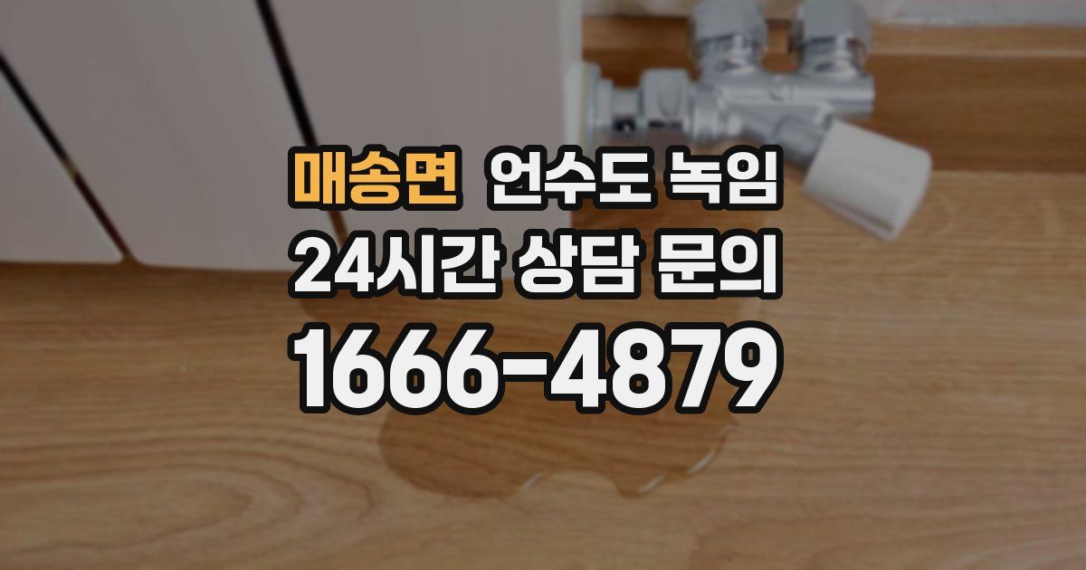 매송면 언수도 녹임