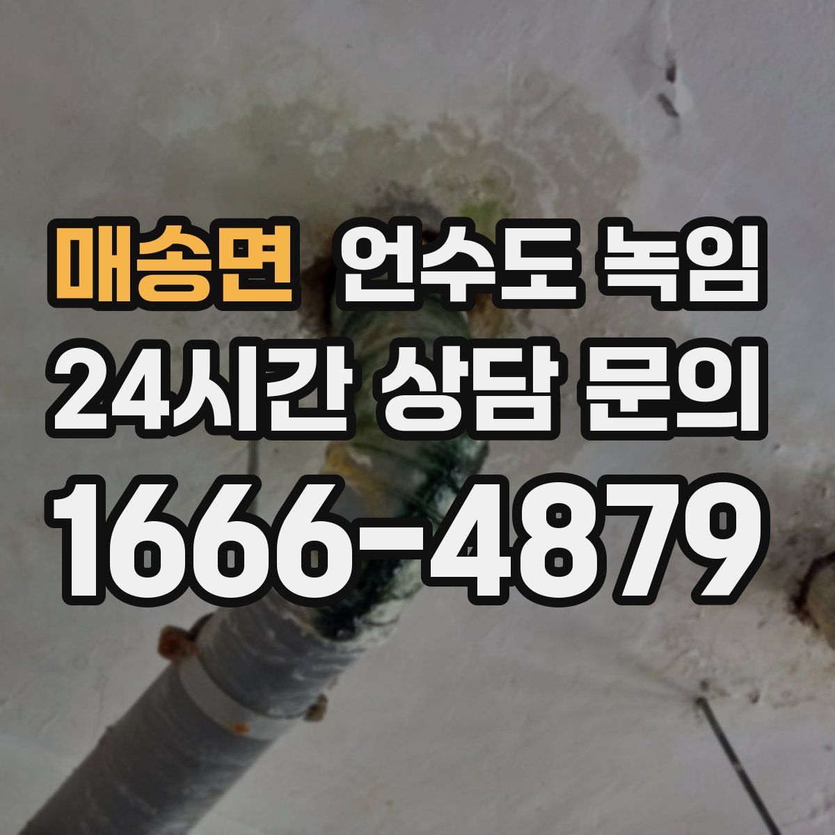 매송면 언수도 녹임