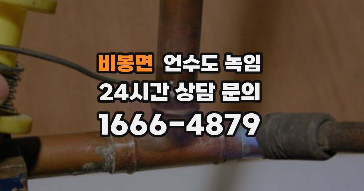 비봉면 언수도 녹임
