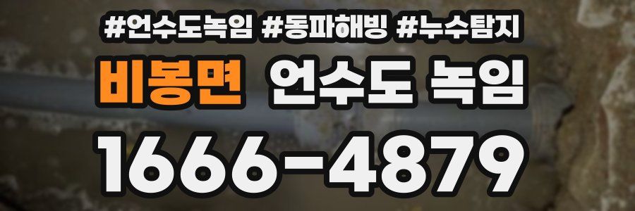 비봉면 언수도 녹임