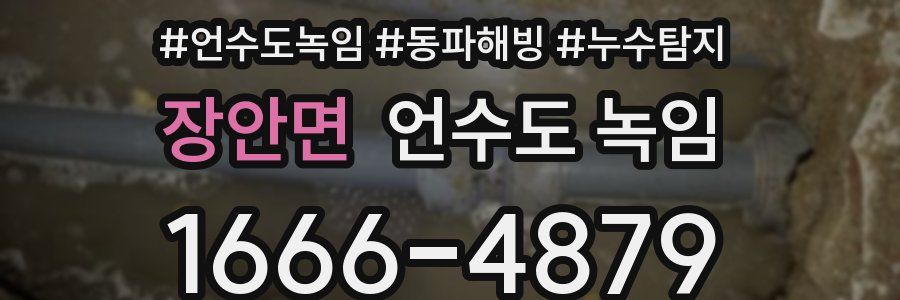 장안면 언수도 녹임