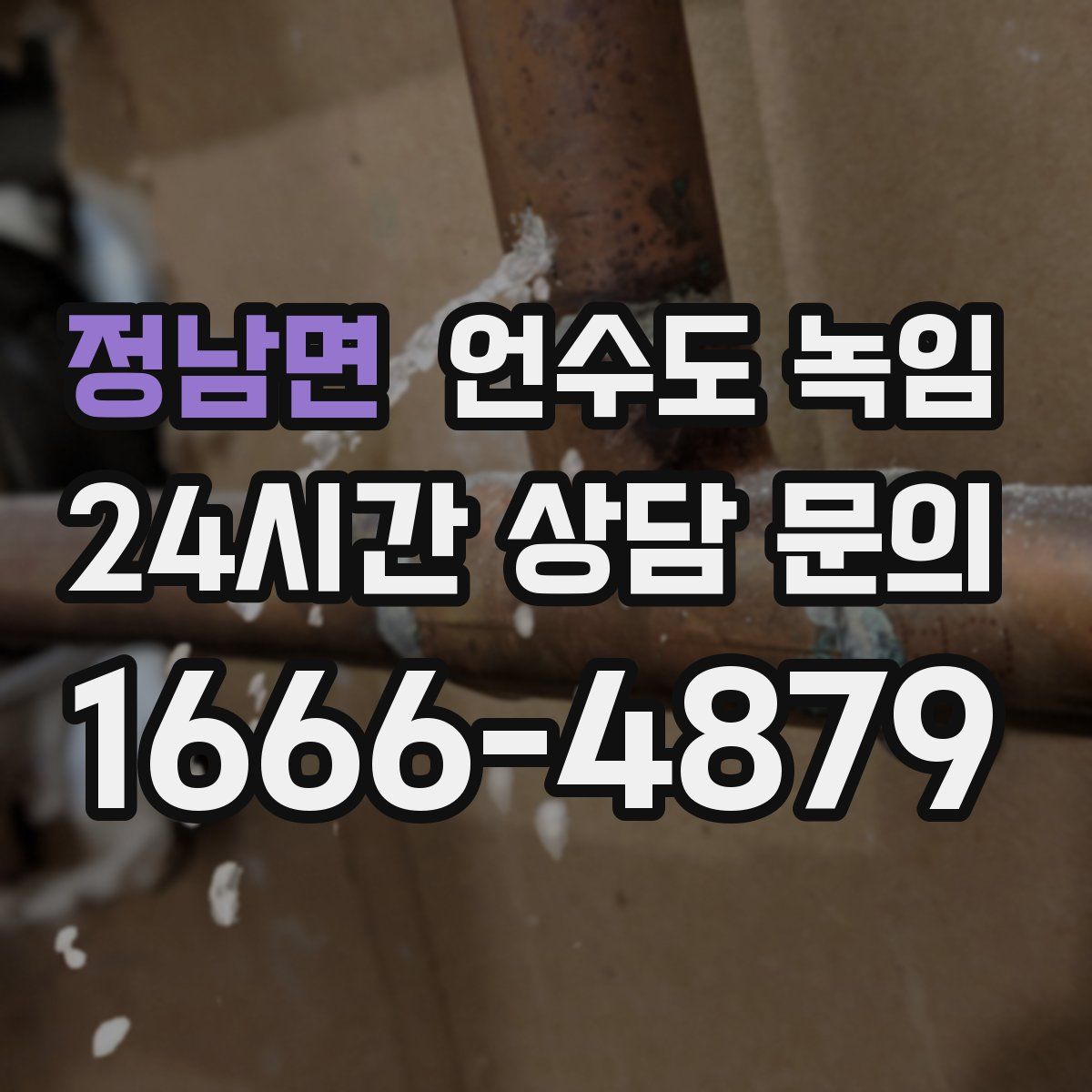 정남면 언수도 녹임