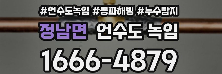 정남면 언수도 녹임