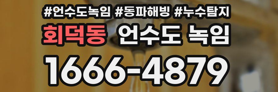 회덕동 언수도 녹임