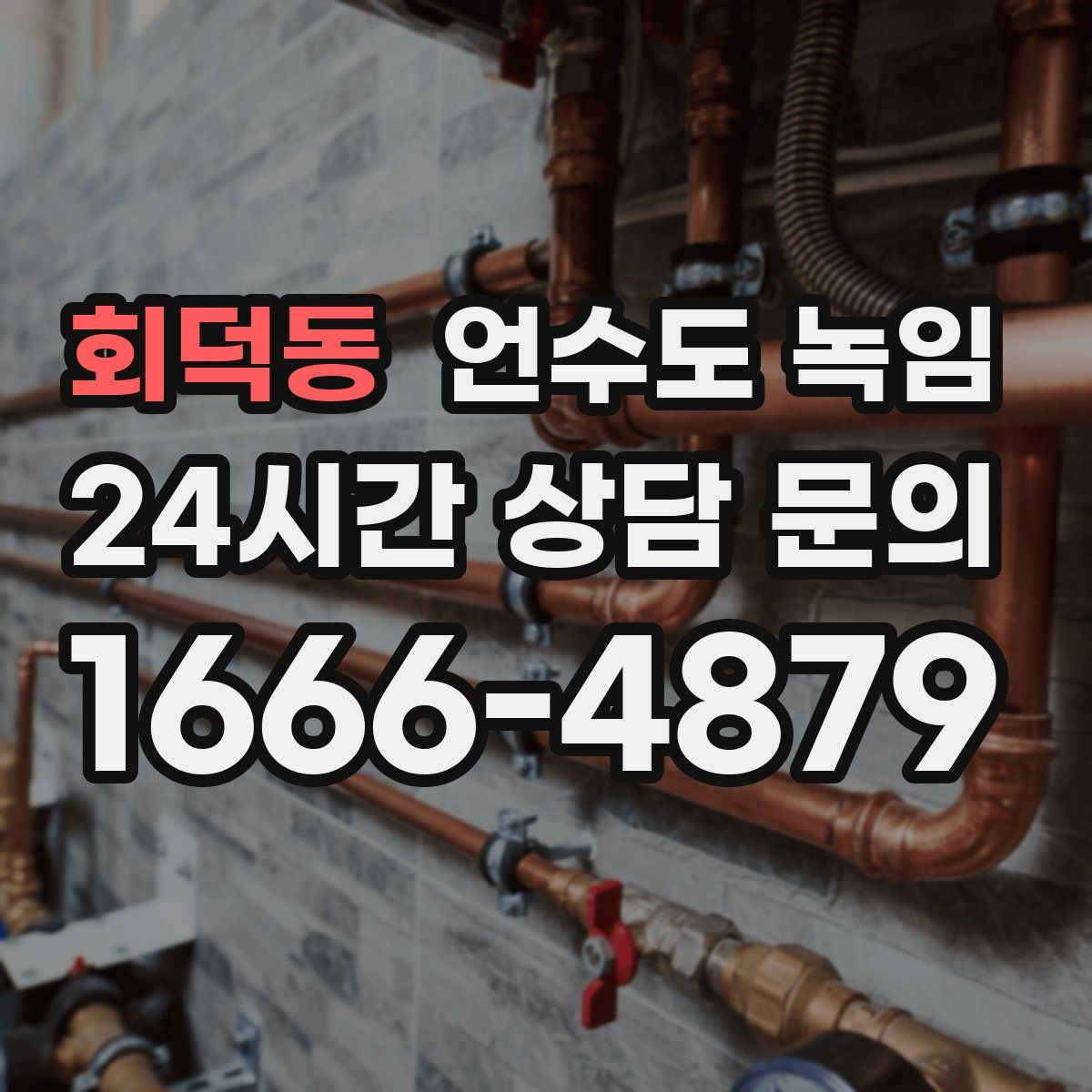 회덕동 언수도 녹임