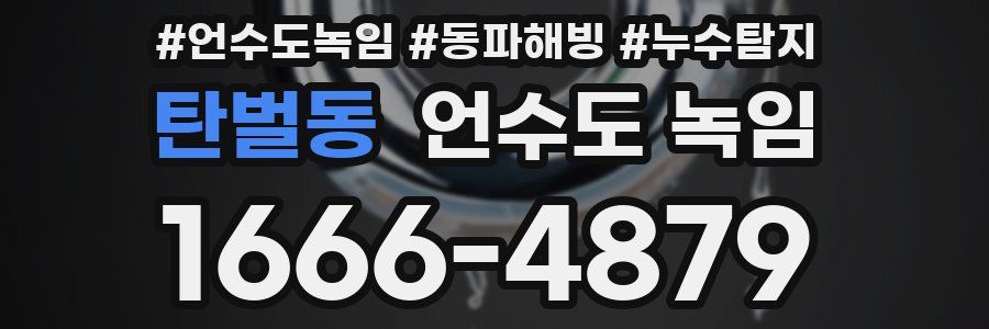 탄벌동 언수도 녹임