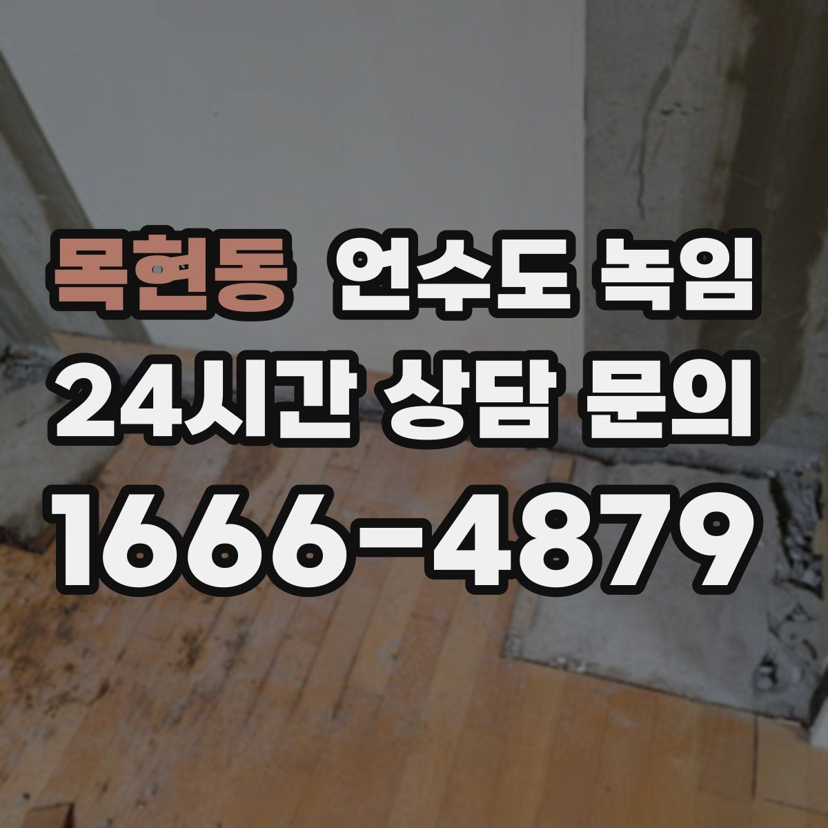 목현동 언수도 녹임