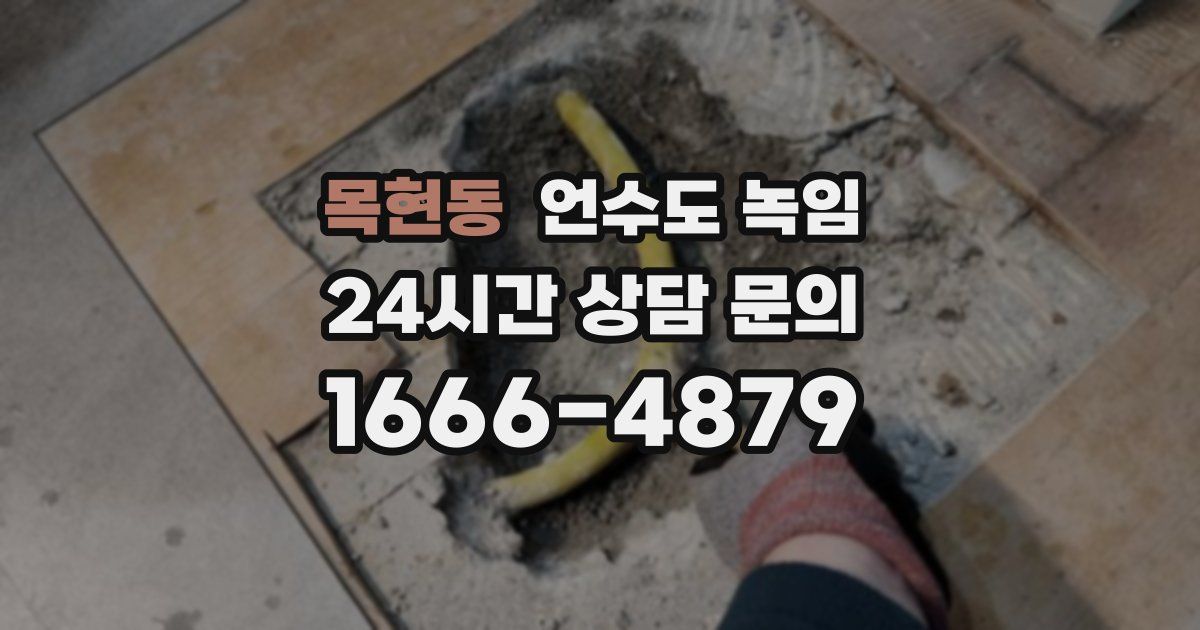 목현동 언수도 녹임
