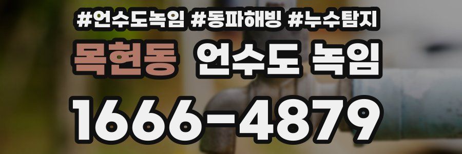 목현동 언수도 녹임