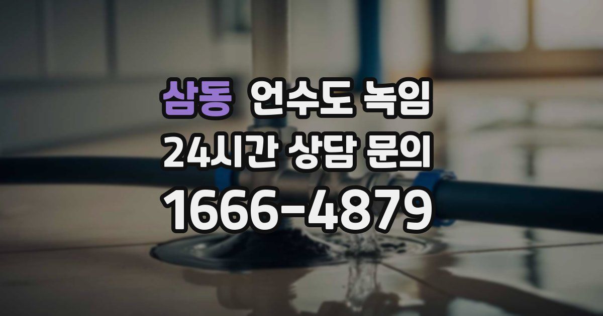 삼동 언수도 녹임