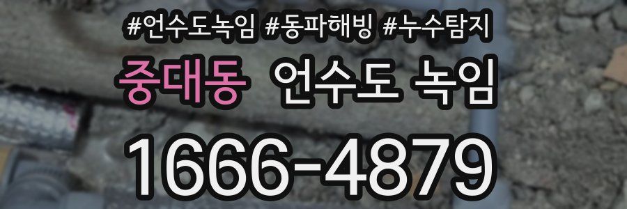 중대동 언수도 녹임