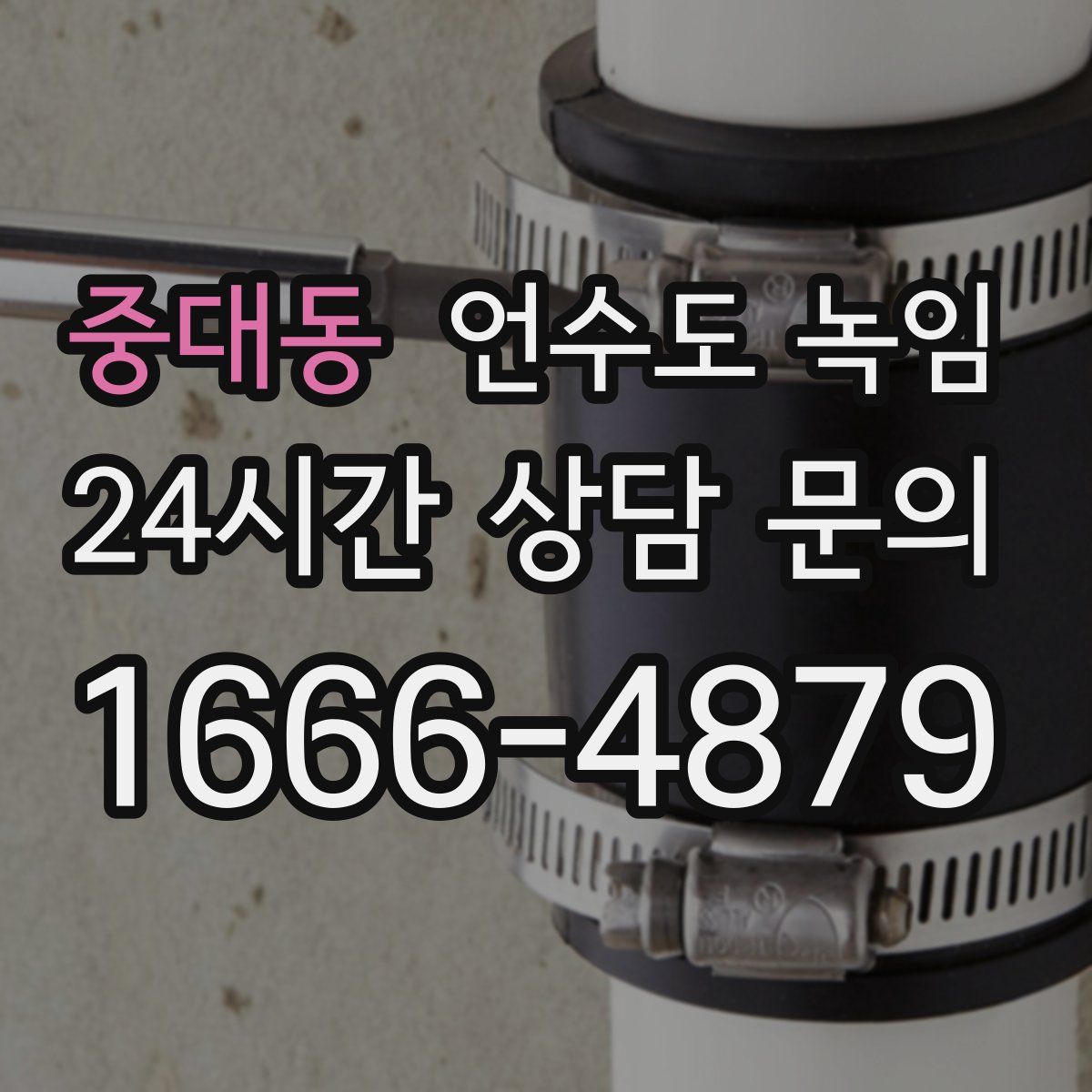 중대동 언수도 녹임