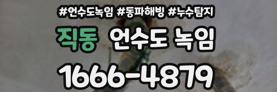 직동 언수도 녹임