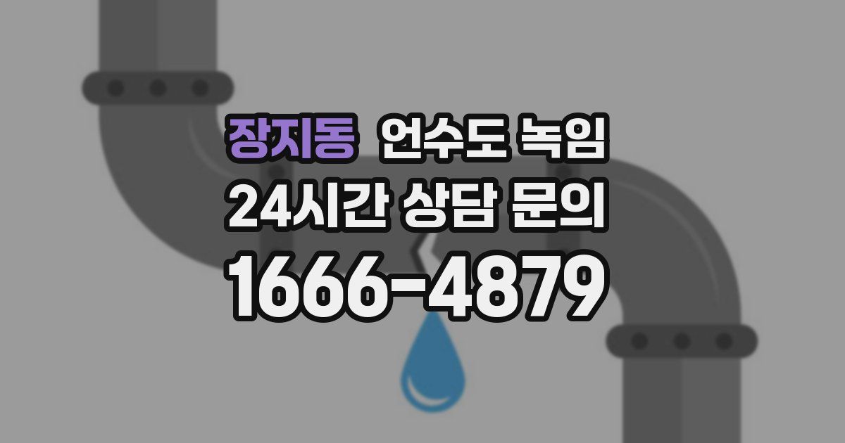 장지동 언수도 녹임