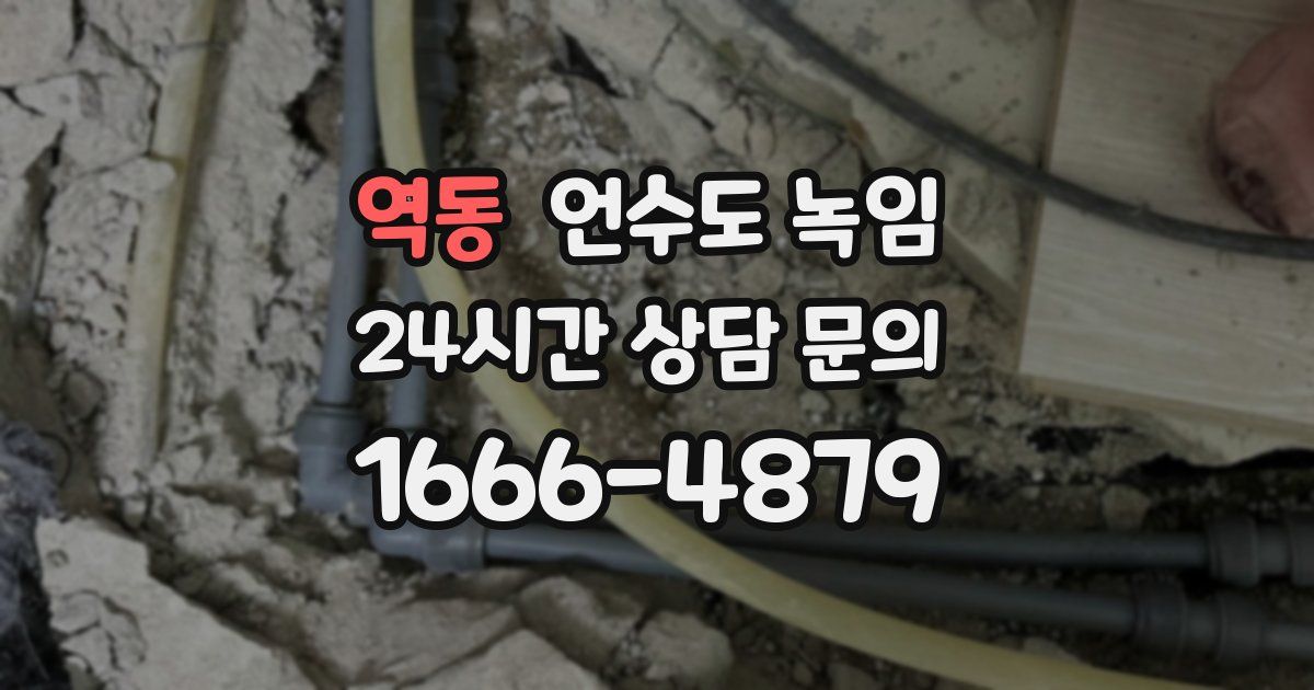 역동 언수도 녹임