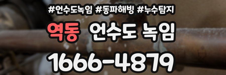 역동 언수도 녹임