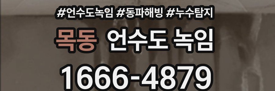 목동 언수도 녹임