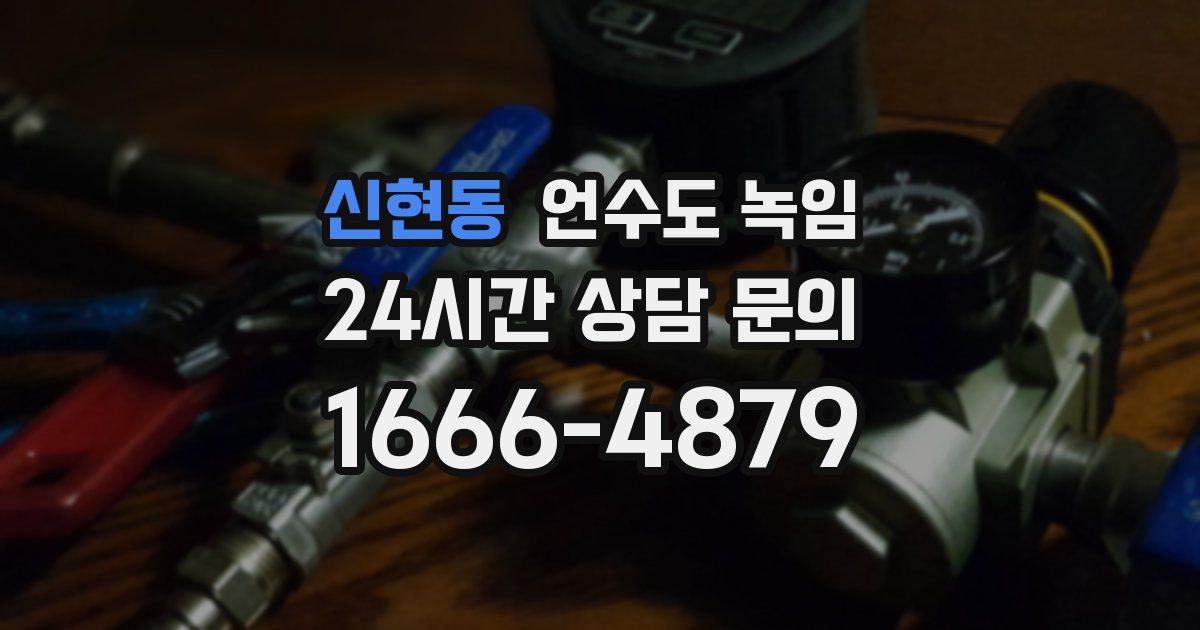 신현동 언수도 녹임
