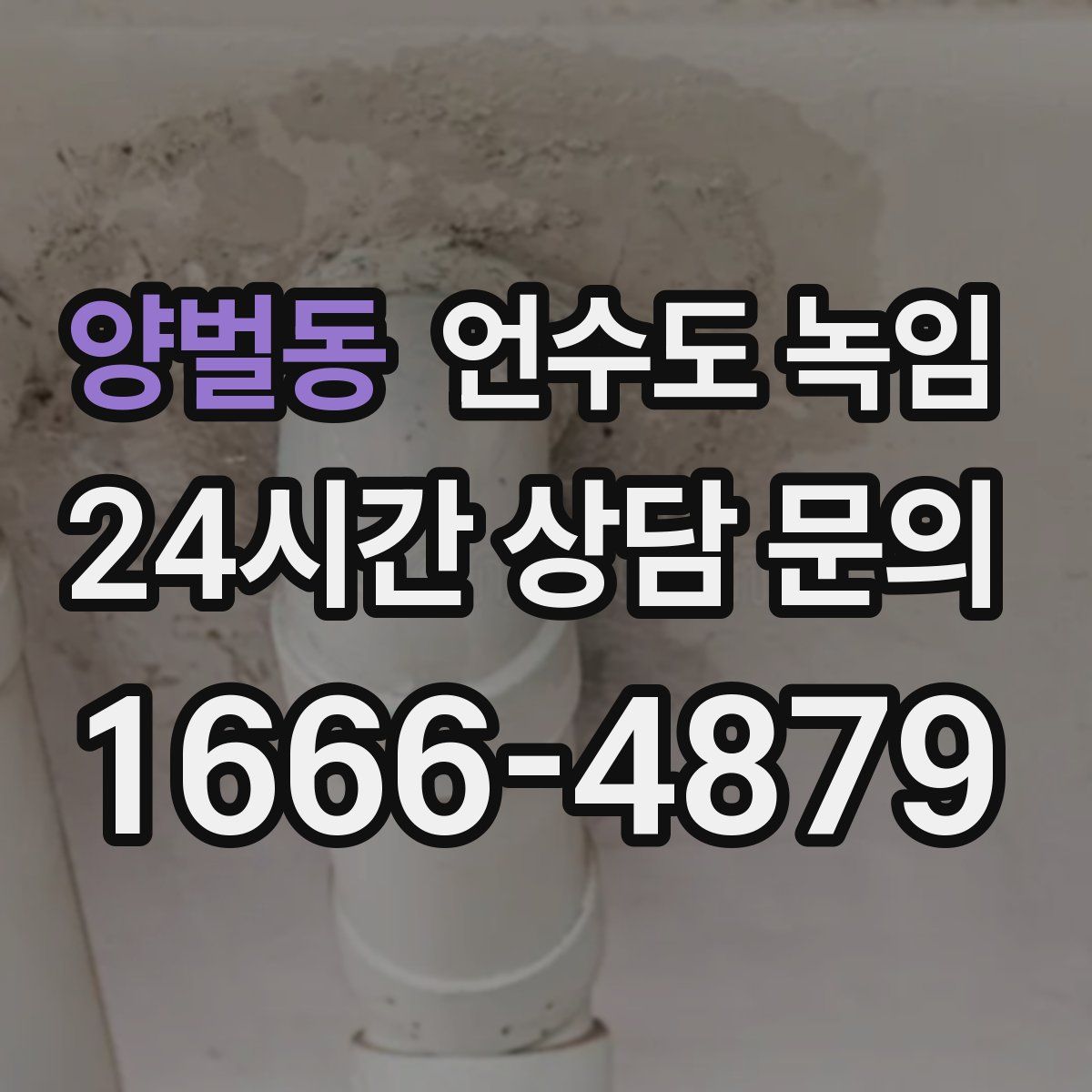 양벌동 언수도 녹임