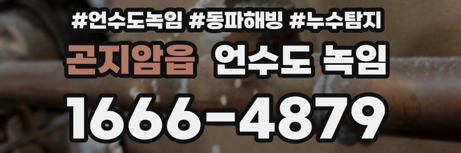 곤지암읍 언수도 녹임