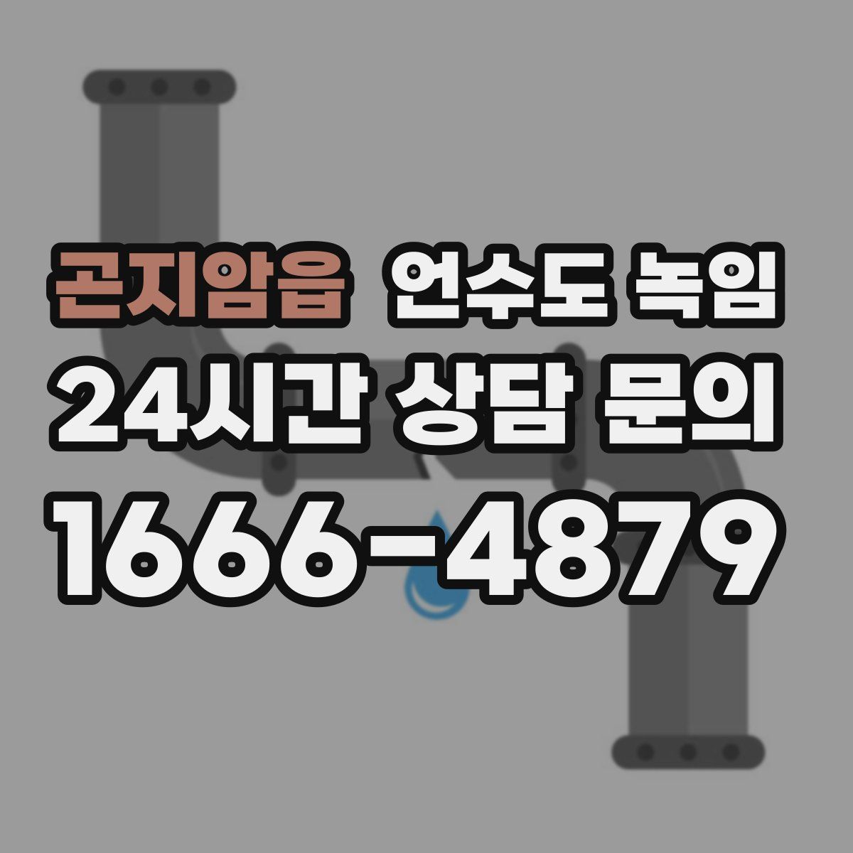 곤지암읍 언수도 녹임