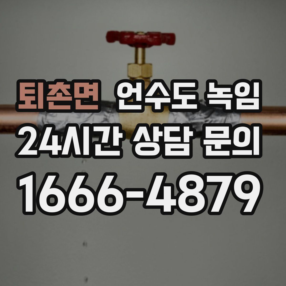 퇴촌면 언수도 녹임