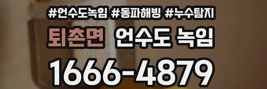 퇴촌면 언수도 녹임