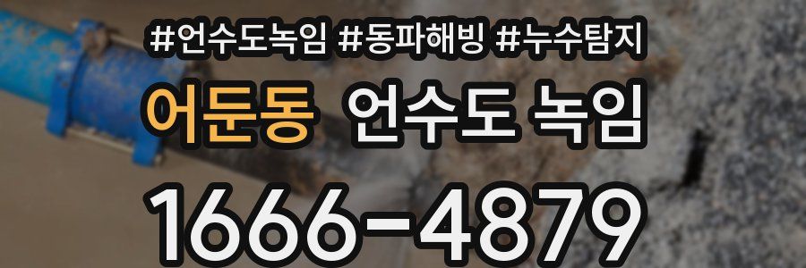 어둔동 언수도 녹임