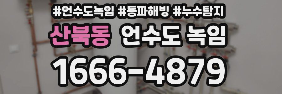 산북동 언수도 녹임