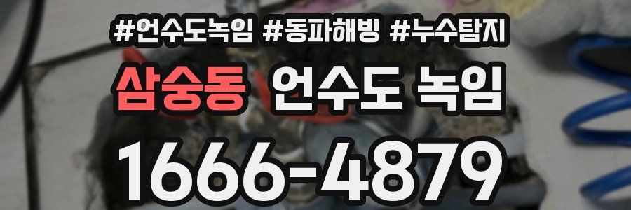 삼숭동 언수도 녹임