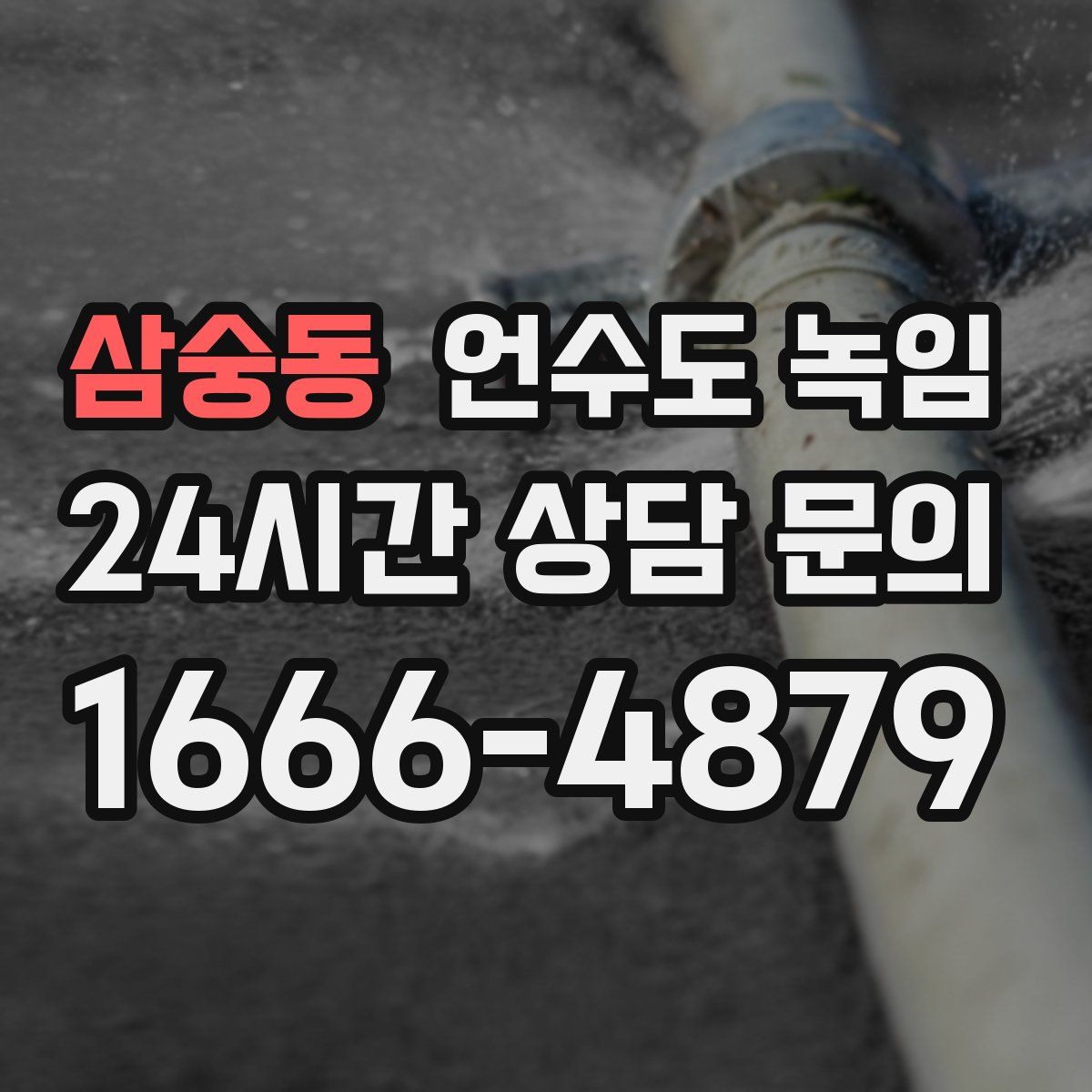 삼숭동 언수도 녹임