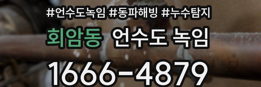 회암동 언수도 녹임