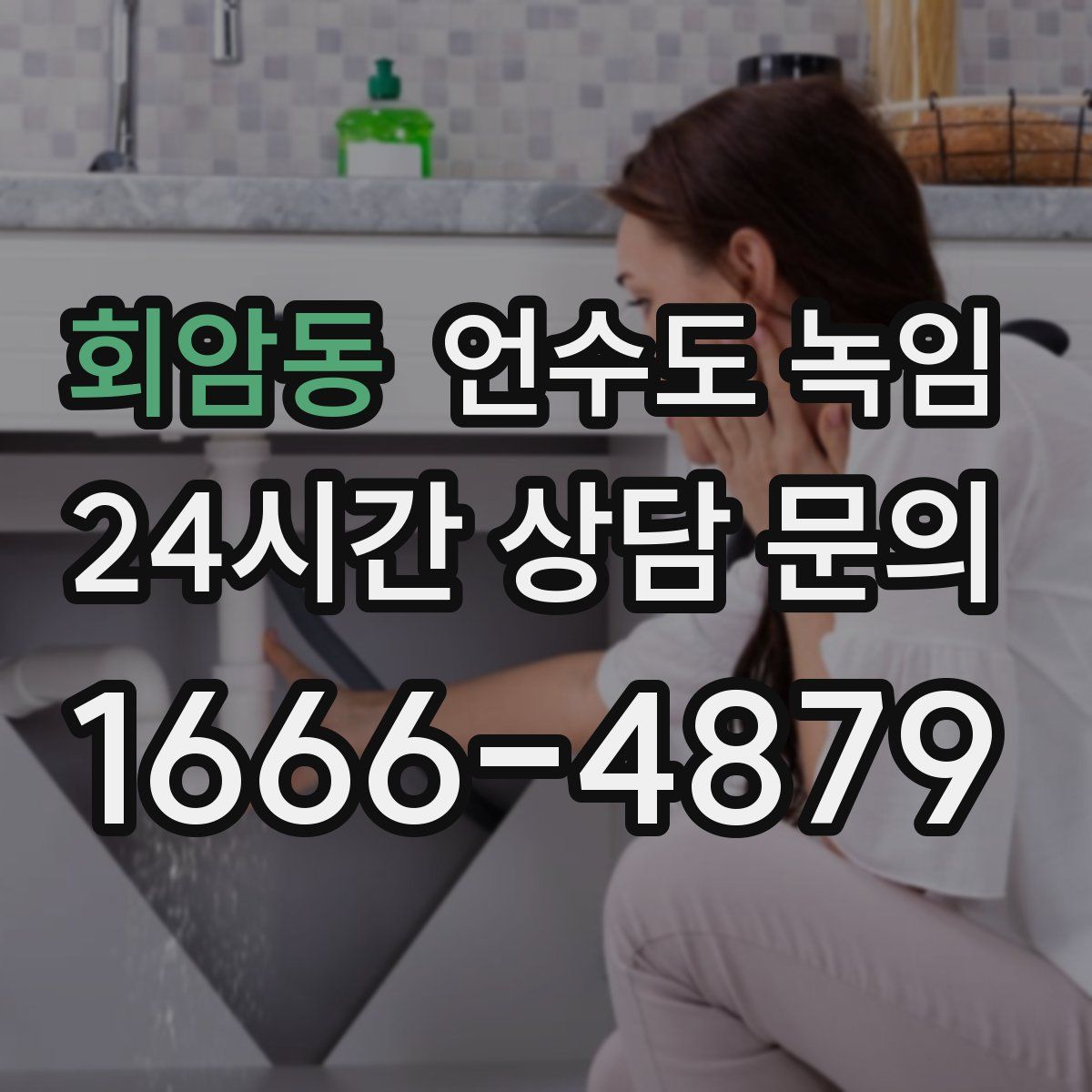 회암동 언수도 녹임