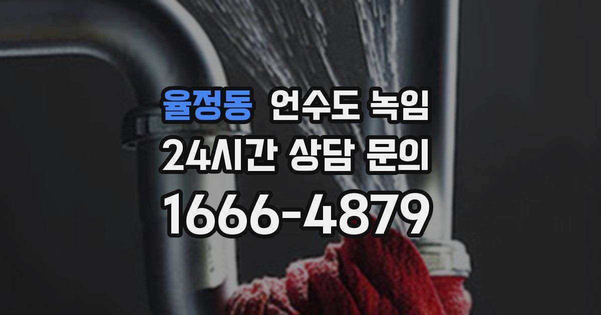 율정동 언수도 녹임